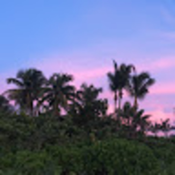 Meet your Posher, Mary - Picture 1 of 1